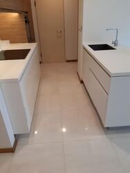 The Concourse (D7), Condominium #473795671